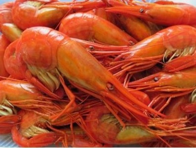 北海縞海老（シマエビ) 500g Sサイズ 40~44尾 えび しまえび 北海道しまえび エビ 海老 冷凍 ボイル済 冷凍