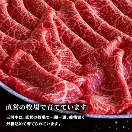 三河牛(黒毛和種)A5等級モモすき焼き用600g　直営巴山牧場産【配送不可地域：離島】【1200675】