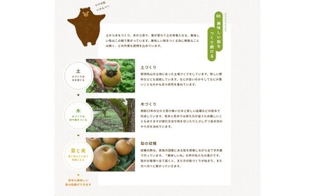 8-7 栃木県那須烏山産にっこり梨100％ジュース2本セット