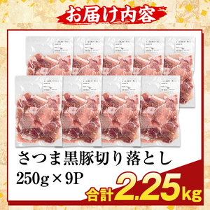 K-429-C ＜訳あり＞鹿児島県産 さつま黒豚切り落とし(計2.25kg)【ふるさと産直バザール】霧島市 部位ミックス 切落し 黒豚 国産 鹿児島県産 肉 精肉 ワケアリ