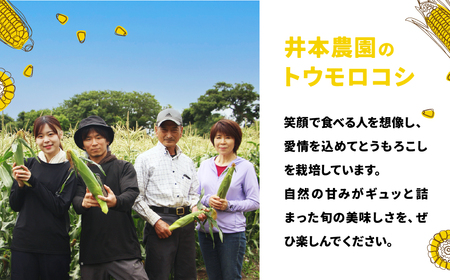 【先行予約】井本農園の朝採れとうもろこし 6本 とうもろこし
