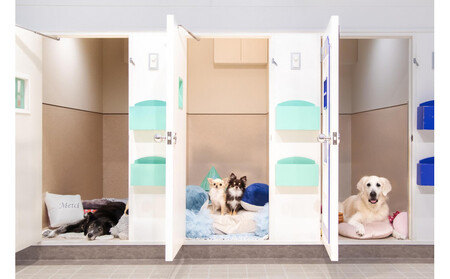 【WANCOTT】ドッグホテル利用券　10,000円分 ALN0001