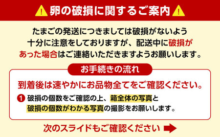 卵 平飼いたまご 彩り天佑卵 20個 [AIDL012] 3回定期便 