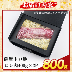 K-486-C 鹿児島県産 薩摩トロ豚 ヒレ肉(計800g)【ふるさと産直バザール】霧島市 ヒレ肉 国産 鹿児島県産 肉 精肉