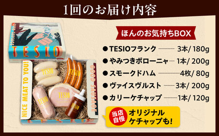 【全12回定期便】TESIOの自家製 ハム ＆ ソーセージ 『ほんのお気持ちBOX』  BCAD012