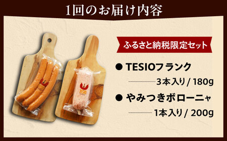 ハム ソーセージ 【全3回定期便】【ふるさと納税限定】TESIOの自家製 フランク ＆ ボローニャ セット (計380g)  BCAD016