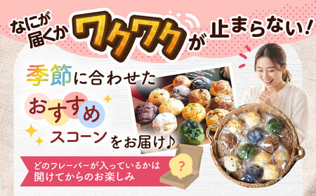 スコーン 12個セット 季節のスコーン 冷凍 個包装 BCAE003
