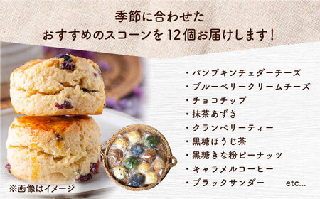 【全3回定期便】厳選おすすめ スコーン 12個セット  BCAE011 スイーツ