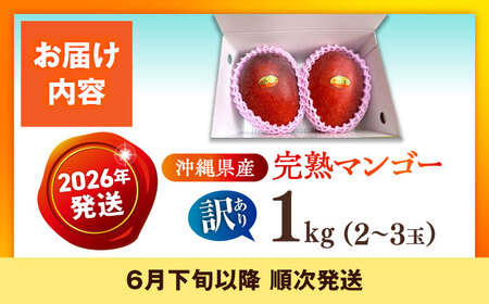 マンゴー【2026年発送 先行予約】マンゴー 訳あり 約1kg 沖縄BCAN003