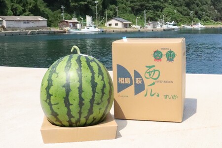 スイカ 約8kg 萩・夏の銘品 相島 西瓜 秀品 大玉すいか フルーツ 果物 果物類 贈答品 ギフト