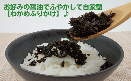 こまめ小町セット 1