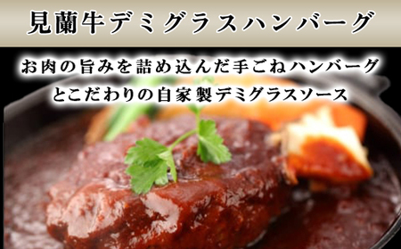 ハンバーグ 数量限定 見蘭牛 ダイニング 玄 オリジナルセット カレー シチュー ハンバーグ 各2個 計6個入り お肉