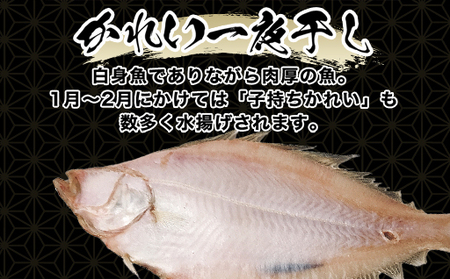 手開きひものセット「めでた」