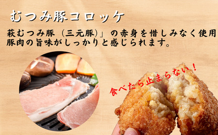 コロッケ 10個 セット (長萩和牛コロッケ 5個&むつみ豚コロッケ 5個)  冷凍 惣菜