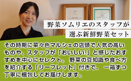 野菜ソムリエプロselect／萩・季節の食材定期便 12回コース