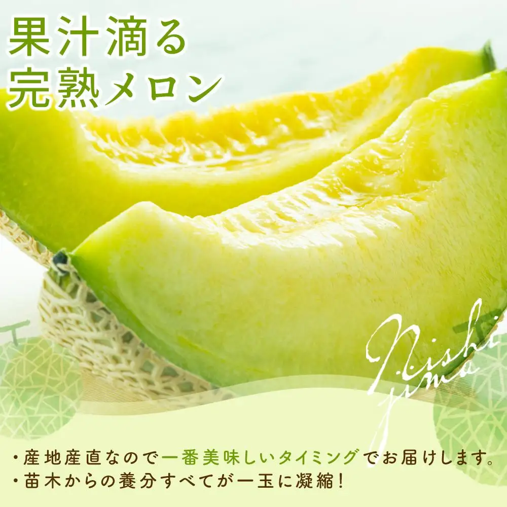 【先行予約】メロンとイチゴセット（2027年2月～発送）めろん いちご  フルーツ