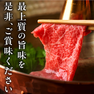 近江牛（A5）肩ロースすき焼・しゃぶしゃぶ用500g　近江牛 A5 肩ロース すき焼 しゃぶしゃぶ用 500g たれ付き 霜降り 和牛 濃厚 旨み 脂 甘さ 風味 国産牛 牛肉 小分け 個別包装 贈答用 DY-0001
