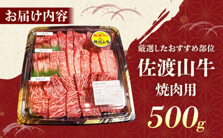 牛肉 焼肉 【全12回定期便】【厳選！おすすめ部位】沖縄和牛 佐渡山牛 焼肉用 500g  BCBC013