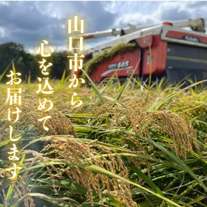D405 農家直送！山口市産「きぬむすめ」精米10kg