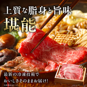 近江牛（A5）ロースすき焼・サーロインステーキセット1kg　近江牛 A5 ロース すき焼用 たれ付き 霜降り 牛肉 旨み とろける サーロイン ステーキ ステーキ醤油 岩塩 あら切りわさび付き 和牛 国産牛 個別包装  DY-0003