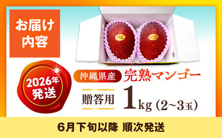 【先行予約】マンゴー 完熟 贈答用 1kg (2-3玉)  沖縄 BCAN001