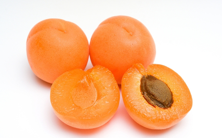 生食用あんず信山丸 約2kg | あんず