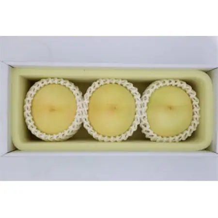 2026年 岡山白桃ロイヤル晩生(1箱3玉)800g_果物・フルーツ もも  モモ 桃_【配送不可地域：離島】【1611258】