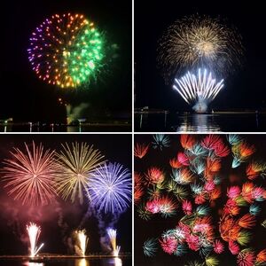 【返礼品なし】たどつ港まつり花火大会 応援ふるさと納税【B-67】