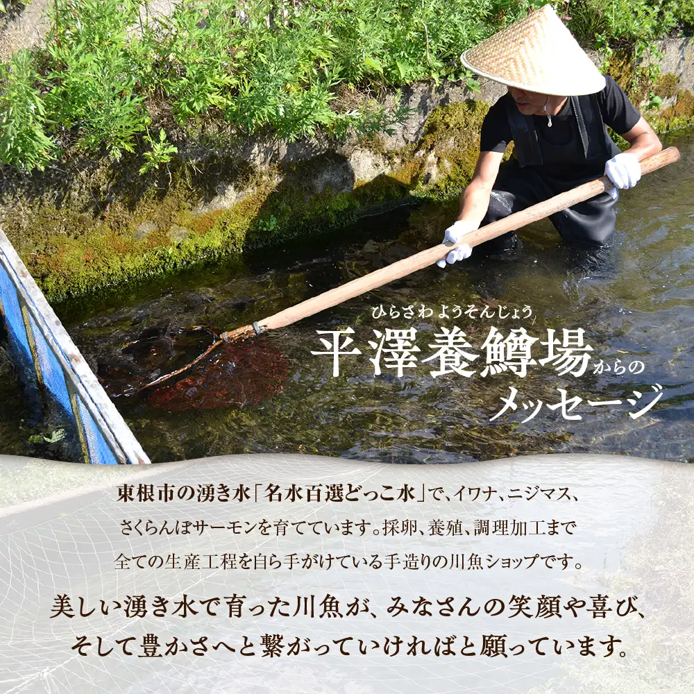燻さくらんぼます鮨 2箱 燻し さくらんぼサーモン 鮨 寿司