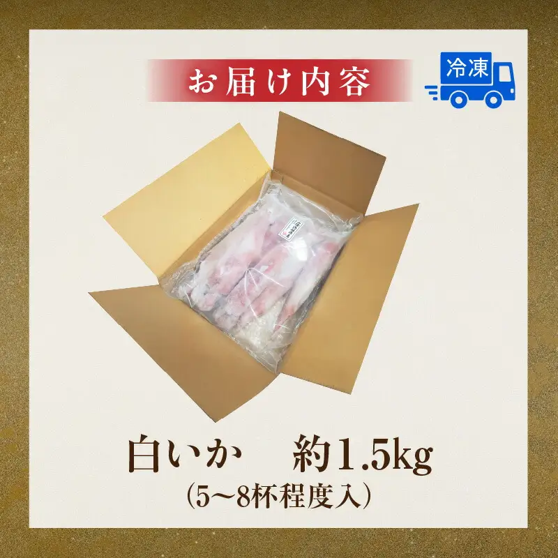 白イカ 約1.5kg 5-8杯程度入 冷凍 いか  74-06