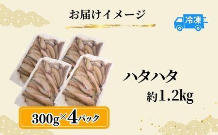 ハタハタ 小さいサイズ 1.2kg 下処理済 はたはた 74-07