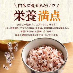 【隔月6回　定期便】国内産 五種玄氣米 250g×6個 1500g×6回_国内産 五種玄氣米 250g×6個 お届け回数 6回 玄米 ブレンド 雑穀米 もち赤米 うるち玄米 もち玄米 もち黒米 もち緑米 プチプチ もちもち 混ぜて炊くだけ 冷めても美味しい 主食 おにぎり 弁当 食卓 華やか 福岡県 久留米市 送料無料 〔Tk026〕