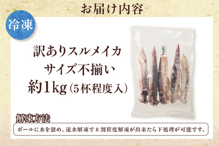 【訳あり】スルメイカ たっぷり 約1kg サイズ不揃い 冷凍 いか  74-17