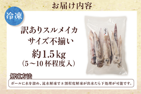 【訳あり】スルメイカ たっぷり 約1.5kg サイズ不揃い 冷凍 いか  74-18