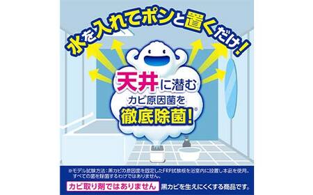 ルックプラス おふろの防カビくん煙剤 3個パック×2セット フローラルの香り 【本体×6】(ライオン) F6U-174