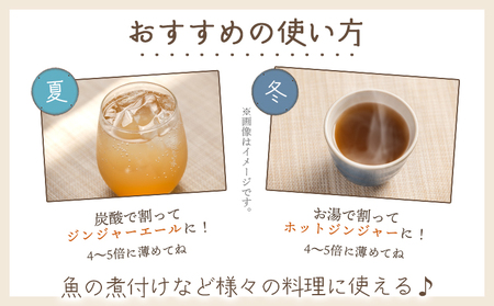 【定期便／年2回お届け】 香南市ジンジャーシロップ 生姜 (150ml)×3本セット 定期便 Wyr-0061