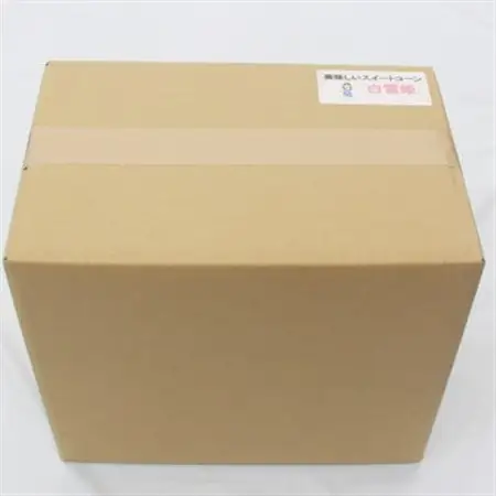 大分県日出町産　ホワイトコーン「白雪姫」_野菜 とうもろこし  トウモロコシ_【配送不可地域：離島】【1615424】