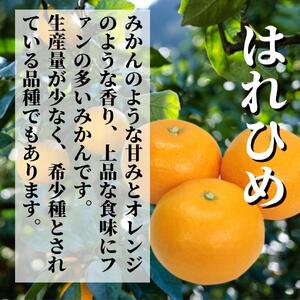 【早期予約受付中！2026年12月より順次発送】二種のみかん食べ比べ箱 【愛果 28 号・はれひめ】 約 1.5kg 秀~優品 みかん 先行予約 蜜柑 柑橘 果物 くだもの フルーツ お取り寄せ グルメ 期間限定 数量限定 人気 おすすめ 愛媛県 松山市 【PT042】
