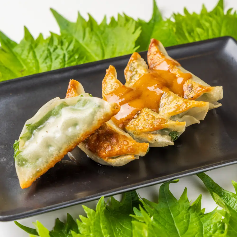 【1パック】餃子屋ヒロの しそ餃子  [BDAS003-1] 