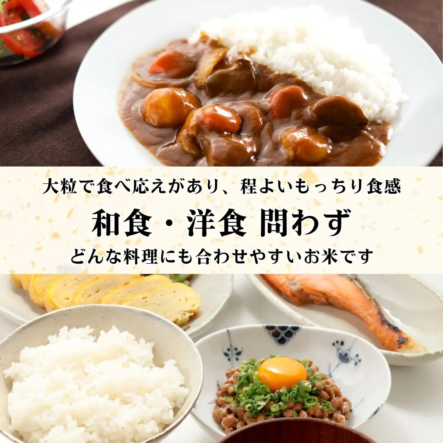 【新米予約】玄米5kg つきあかり 木内ファーム Ca-063 玄米