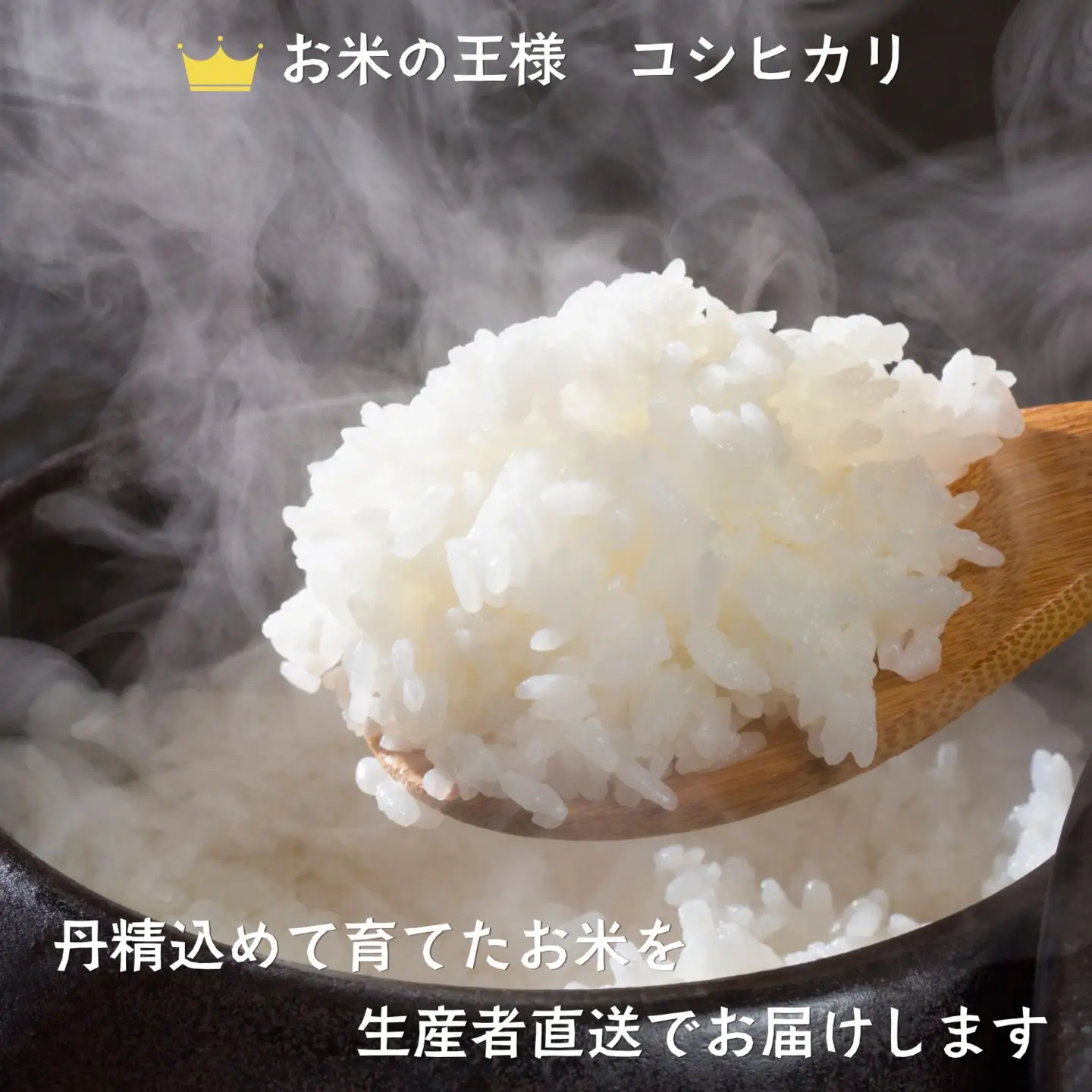 【新米予約】玄米 10kg コシヒカリ 木内ファーム コシヒカリ Ca-053