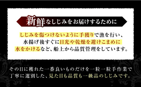 しじみ 産地直送！宍道湖産 冷凍大和しじみLサイズ1kg(500g×2) 砂抜き処理済 島根県松江市/りすたむmatsue[ALDE006] しじみ しじみ