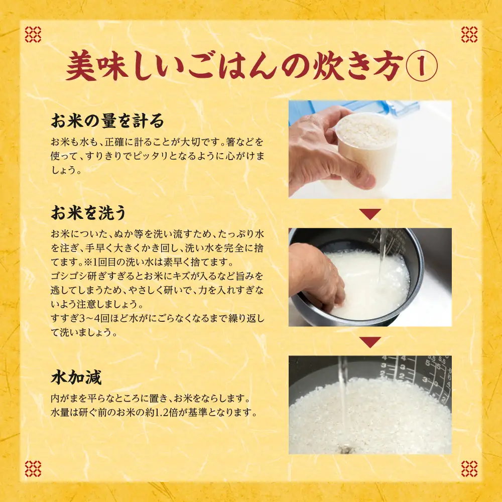 【令和7年産】 熊本県産 森のくまさん 10kg (5kg×2袋) オリジナルパッケージ 米 お米 精米 白米 ごはん ご飯 熊本