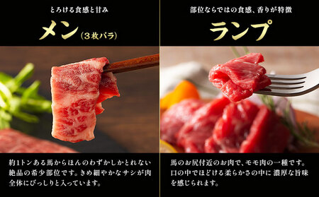 馬肉 熊本特産 フジチクオリジナル 特選 馬刺し 8種 セット 道の駅竜北  熊本県 氷川町 肉 馬肉 メン 大トロ 中トロ ヒレ シャトーブリアン ロース ランプ 上赤身 ネギトロ ふじ馬刺し セット 食べ比べ