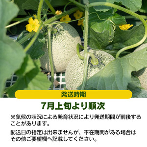 【令和8年産先行予約】 お楽しみメロン 3玉セット 2Lサイズ 山形県庄内産 アンデスメロン・鶴姫メロン・鶴姫レッドメロン の中から3玉お届け 食べ比べ　JA鶴岡 K-836