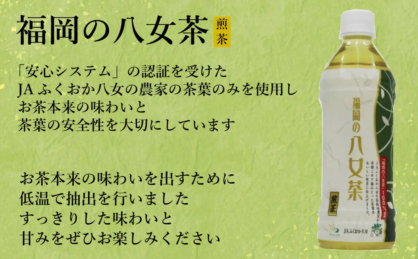 【全6回毎月定期便】八女茶 煎茶ペットボトル 500ml×24本