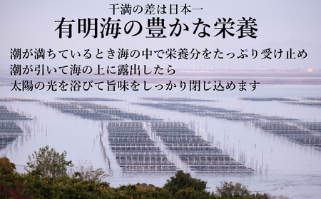 【全3回毎月定期便】焼き海苔 福岡有明海苔ボトル4本(10切100枚×4本 計400枚) 【福岡有明海産】