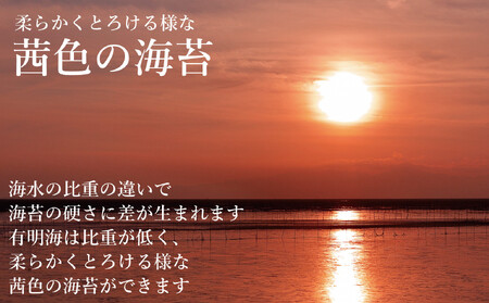 【全6回毎月定期便】焼き海苔 福岡有明海苔ボトル4本(10切100枚×4本 計400枚) 【福岡有明海産】