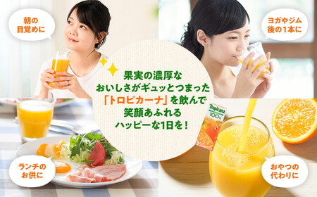 【定期便4ヶ月】トロピカーナ 100％ マンゴーブレンド 250ml LLスリム×24本 ※離島への配送不可
