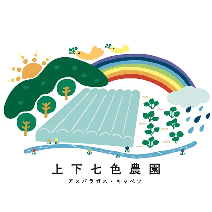 上下七色農園贈答用アスパラガス　2L・Lサイズ　貼箱（600g） No.1093